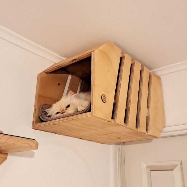 Casita - Imagen 2