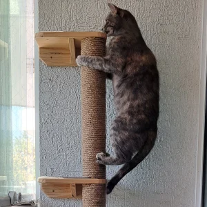 Rascadores