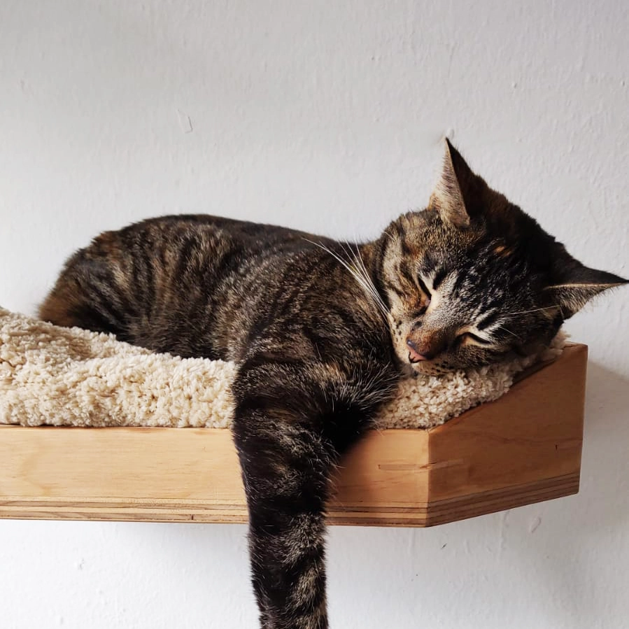 Descansos